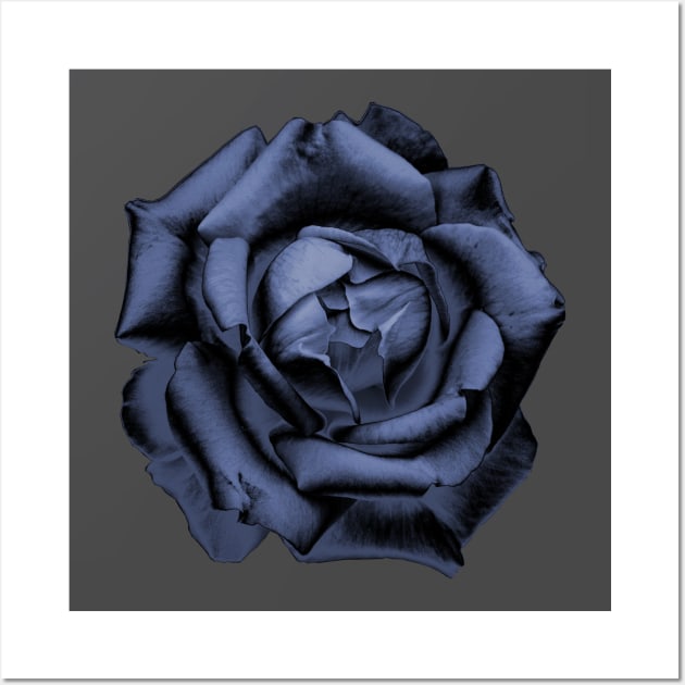 Blue Charcoal Rose Wall Art by nautilusmisc